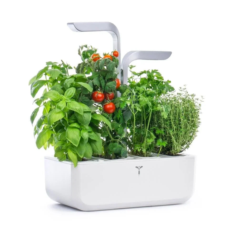 2026 Potager d'intérieur autonome Véritable SMART Arctic White 4 plantes Made in France(Blanc)