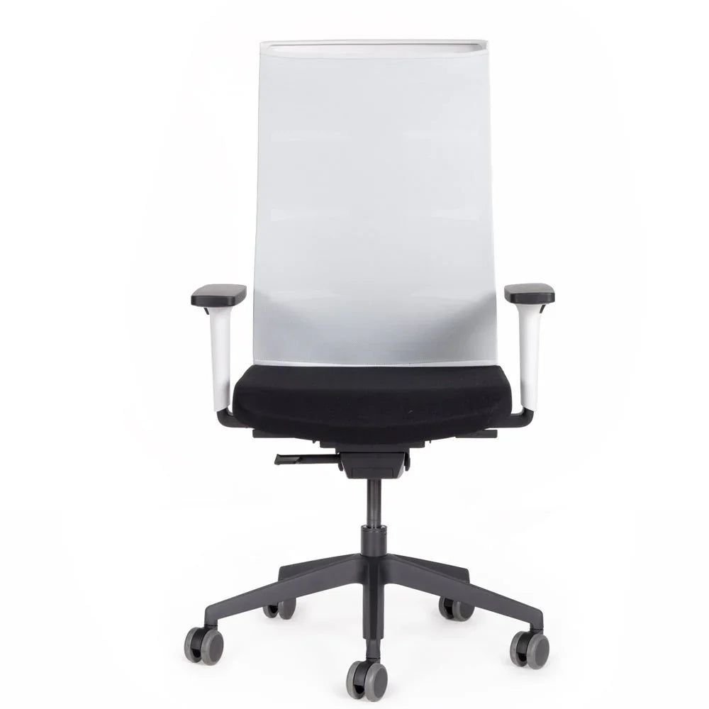 2026 Fauteuil de bureau ergonomique Agilis Matrix MT12 à dossier en maille et inclinaison lente, édition spéciale, noir pur (