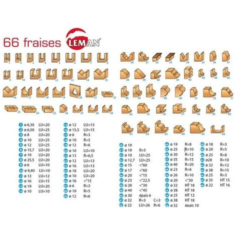 Coffret de 66 mèches défonceuse LEMAN - 42870066 - Carbure - Queue 8mm — photo 4