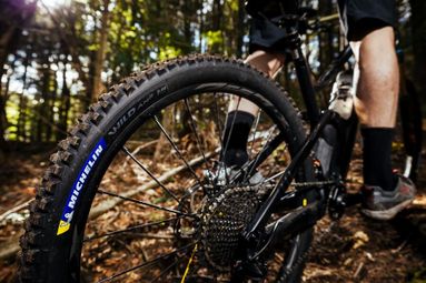 Pneu VTT Michelin Wild AM2 Competition Line 29'' Tubeless Ready Souple Gravity Shield GUM-X E-Bike Ready — photo 5