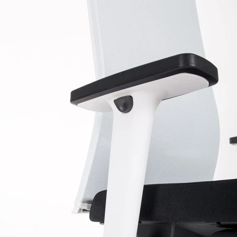 2026 Fauteuil de bureau ergonomique Agilis Matrix MT12 à dossier en maille et inclinaison lente, édition spéciale, noir pur (