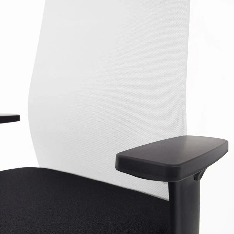 2026 Fauteuil de bureau ergonomique Agilis Matrix MT12 à dossier en maille et inclinaison lente, édition spéciale, noir pur (