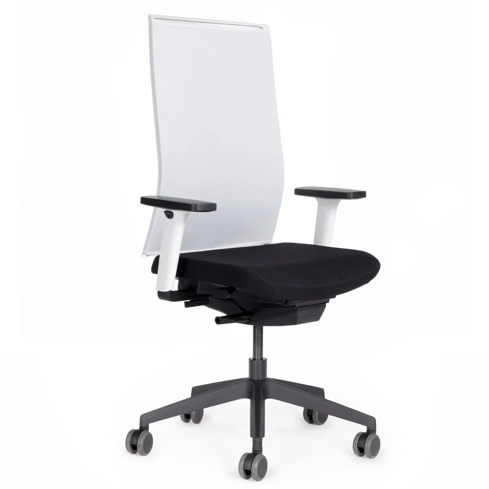 2026 Fauteuil de bureau ergonomique Agilis Matrix MT12 à dossier en maille et inclinaison lente, édition spéciale, noir pur (