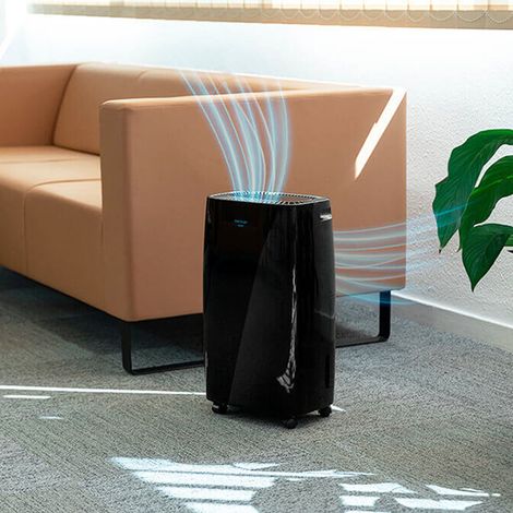 Cecotec BigDry 4000 Expert déshumidificateur noir 2,5 L — photo 4