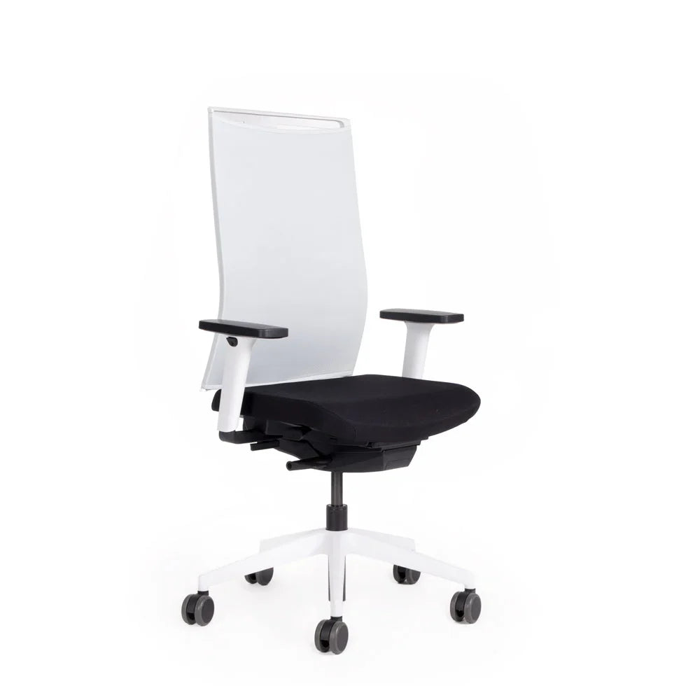 2026 Fauteuil de bureau ergonomique Agilis Matrix MT12 à dossier en maille et inclinaison lente, édition spéciale, noir pur (