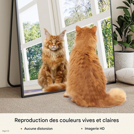 Koonmi Miroir sur pied pleine longueur, 180x76 cm, Corporel Robuste avec Cadre Aluminium, Miroir Mural Moderne à Poser ou Suspendre pour Salon, Chambre à Coucher, Design Minimaliste, Noir — photo 3