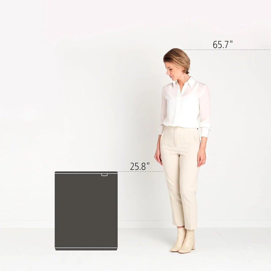 2026 Poubelle Brabantia, acier mat, anti-traces de doigts, 2 x 30 L